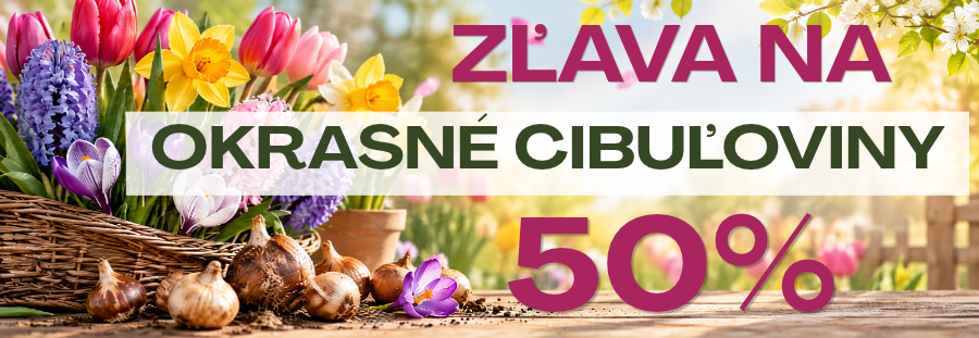 okrasné cibuľoviny