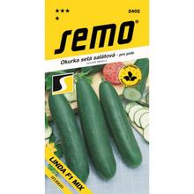 Semená uhorky šalátovej Linda F1 Mix 1,3g