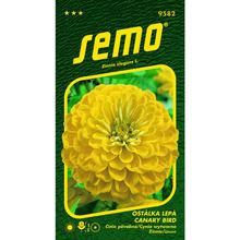 Semená kvetov Cínia Canary Bird 0,7g