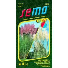 Semená KORTADÉRIA PAMP PINK AND WH 0,2g