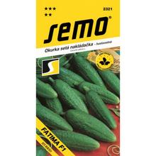 Semená uhorky nakladačky Fatima F1 od SEMO.
