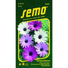 Semená Osteospermum Balade Mix 0,3g