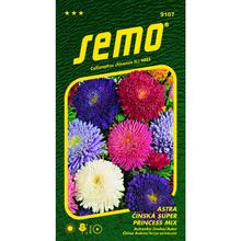 Semená Astra čínska Super princ zmes 0,5g