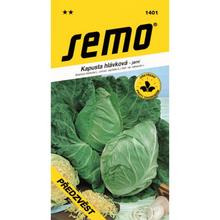 Semená kapusty Skorý predzvesť od SEMO.