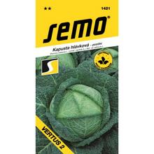 Semená kapusty Vertus od SEMO.