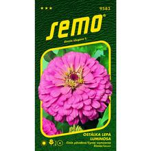 Semená Cínia Luminosa 0,7g