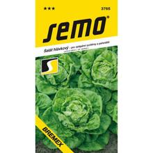 Obal semien šalátu hlávkového Bremex od SEMO.