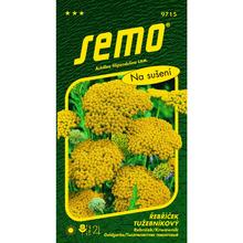 Semená rebríčka Cloth of Gold 0,1g od SEMO.