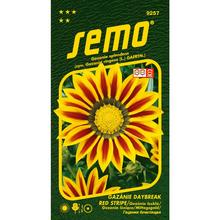 Semená gazánie lesklej Daybreak Red Stripe.