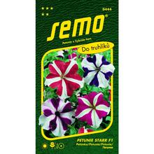 Semená petúnie mnohokvetnej Starr F1 v balení 30 kusov.