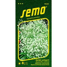 Semená gypsomilky metlinatej bielej 0,80g