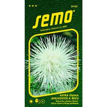 Semená astrovky čínskej Electric bielej 0,5g.