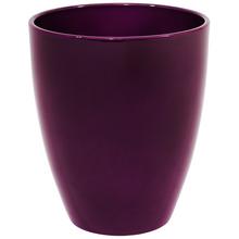 Fialový obal na orchidey
