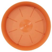 Miska plastová terakota s priemerom 19,5 cm a výškou 3,4 cm.