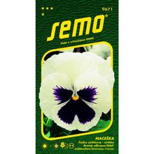 Semená sirôtky veľkokveté biele od SEMO.