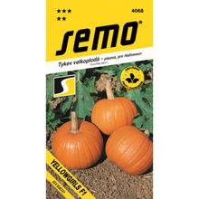 Semená tekvice Yellowgirls F1 od SEMO.
