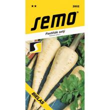 Semená paštrnáka siateho bieleho od SEMO.