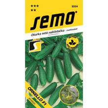 Semená uhorky nakladačky Ornello F1 od SEMO.