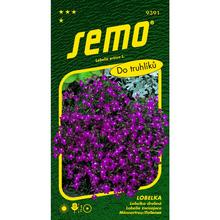 Semená lobelky Cascade červenej 0,25g