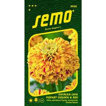 Semená Cínia Popart Golden and Red 0,25g