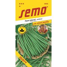 Semená fazule kríč GUSTY 7g od SEMO.