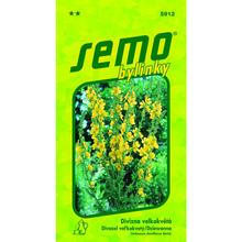 Semená divozela veľkokvetého ZLATA 0,10g od SEMO.