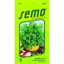 Semená bazalky kompaktnej od SEMO.