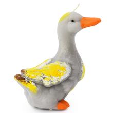 Sivá húška sviečka