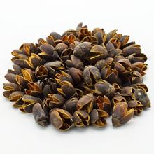 Sušené bakuli v balení 200g.