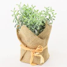 Umelá zeleň v črepníku z juty, 15 cm.