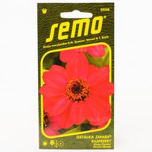 Semená cínie Zahara Raspberry v balení 15 kusov.
