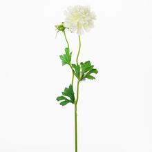 Umelá kvetina Scabiosa biela s dĺžkou 41 cm.