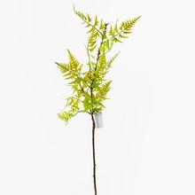 Umelý list papraďa v bledozelenej farbe, 97 cm.