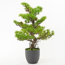 Umelá bonsaj borovica v kvetináči s výškou 68 cm.