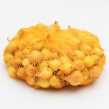 Cibuľa sadiačka Štut v sieťke 500g.