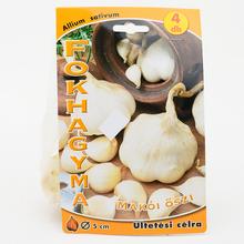 Sadbový cesnak MAKOI v balení 5 hl.