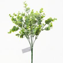 Umelý zápich eukalyptu s výškou 34 cm.