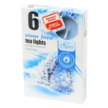 Sada voňavých čajových sviečok Zimný les.