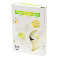 Biele kvety voňavé čajové sviečky