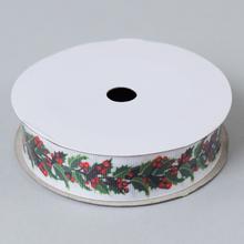 Vianočná stuha s motívom plodov, 9m x 25mm.