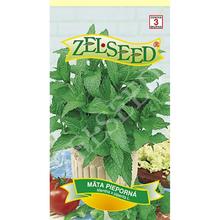 Semená mäty piepornej od ZELSEED.