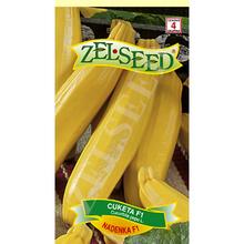 Semená tekvice cukety Nadenka F1 od ZELSEED.
