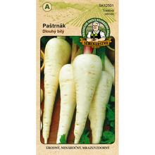 Semená paštrnáka dlhého bieleho 3g.