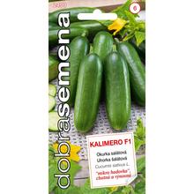 Semená uhorky šalátovej Kalimero F1.
