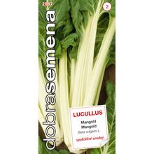 Semená mangoldu Lucullus 3g.