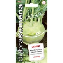 Semená kalerábu Nesk. Gigant 0,8g