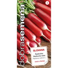 Semená reďkovky Dvojička Slovana 4g