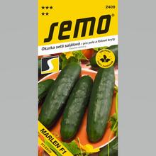 Semená uhorky Marlen F1 od SEMO.