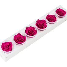 Ruža preparovaná v hot pink farbe, 6,5 cm.