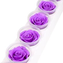 Ruža preparovaná 6,5cm BABY LILY v balení po 6 kusoch.